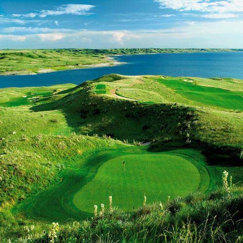Professional turf, golf greens